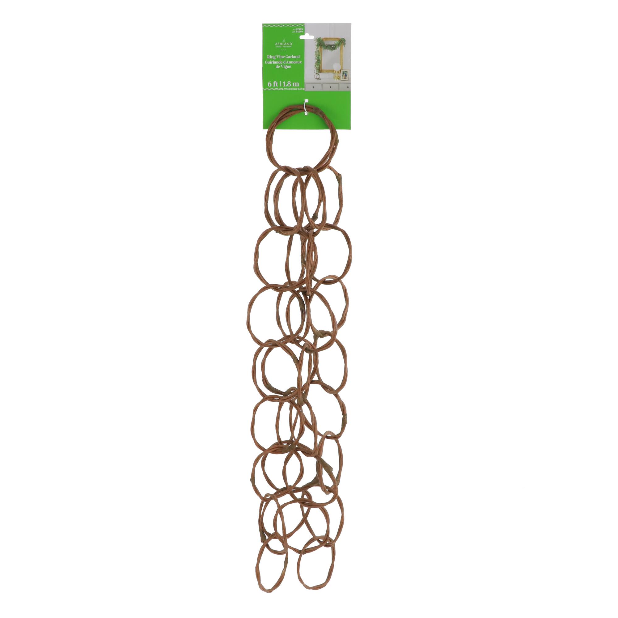6ft. Brown Ring Vine Garland by Ashland®